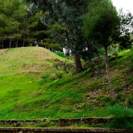 Antica Akragante Con Parcheggio Appartement